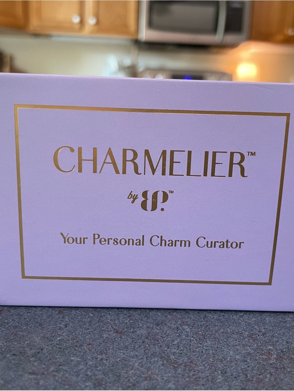 *NEW* CHARMELIER Bracelet by Bomb Party BR76036 - Picture 5 of 5
